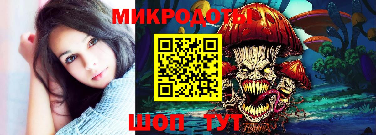 Псилоцибиновые грибы Psilocybe Сызрань